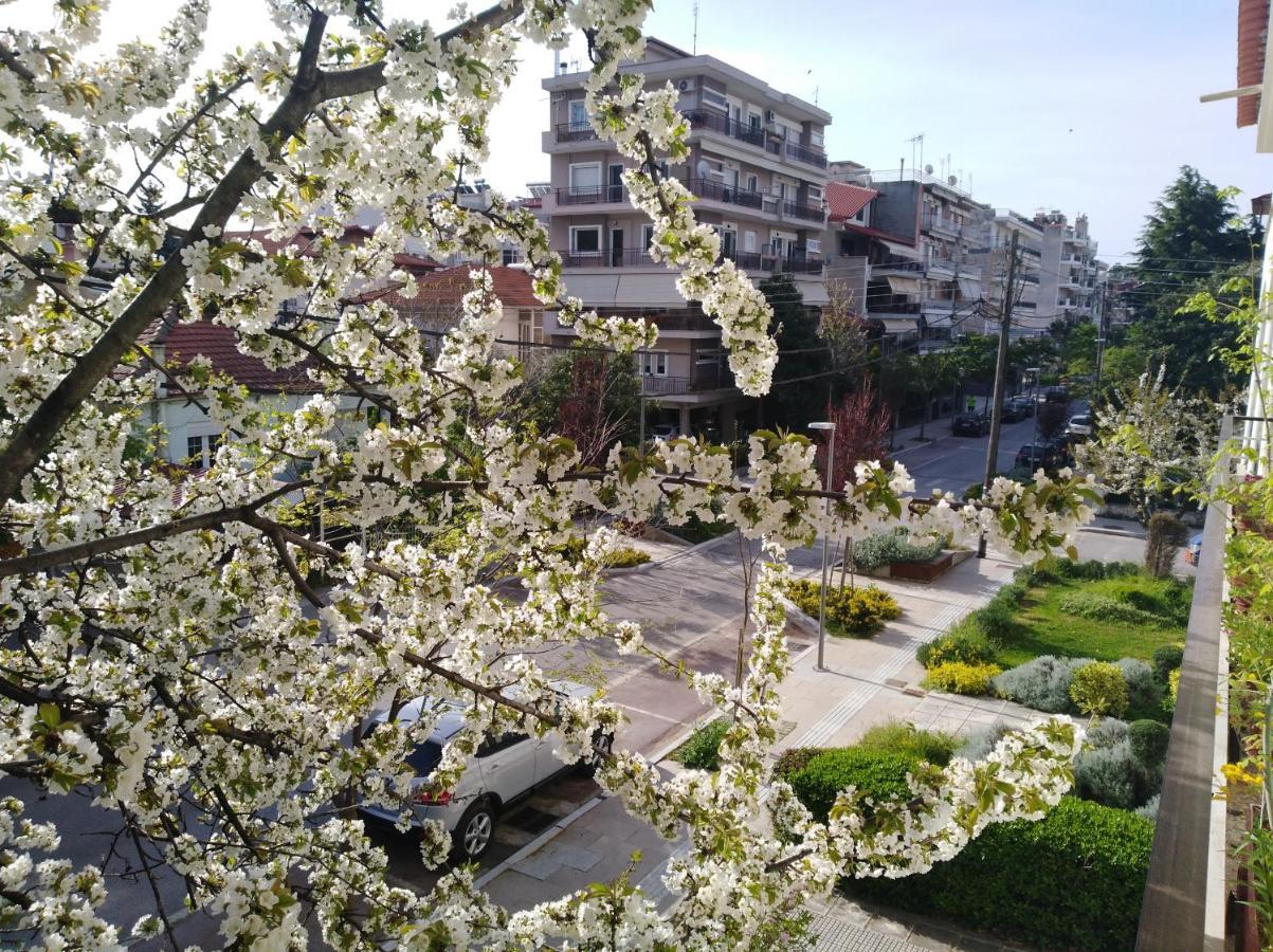 Olympia Hotel Edessa Buitenkant foto