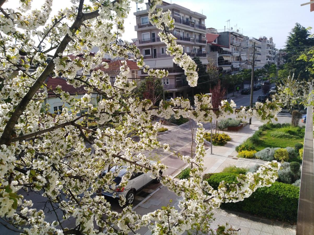 Olympia Hotel Edessa Buitenkant foto